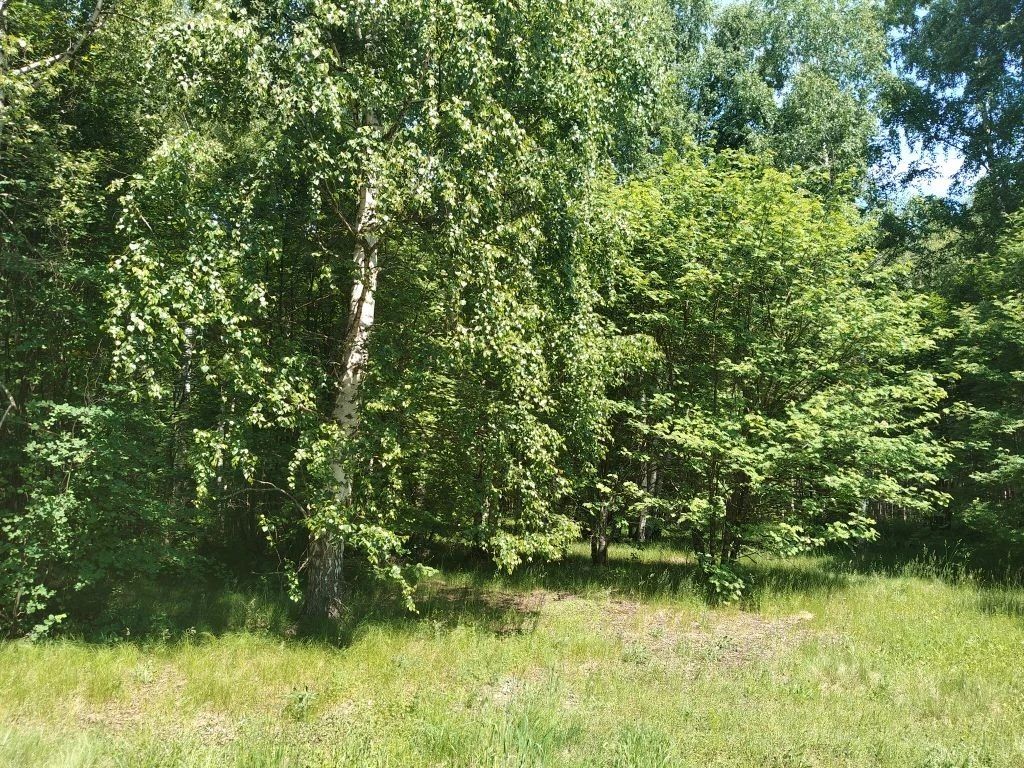 Аренда участка 14,93 сот. под ИЖС — обл. Нижегородская