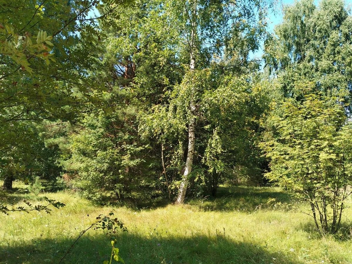Аренда участка 15,25 сот. под ИЖС — Нижегородская