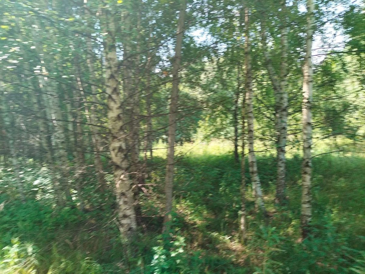 Аренда участка 15,3 сот. под ИЖС — обл. Нижегородская