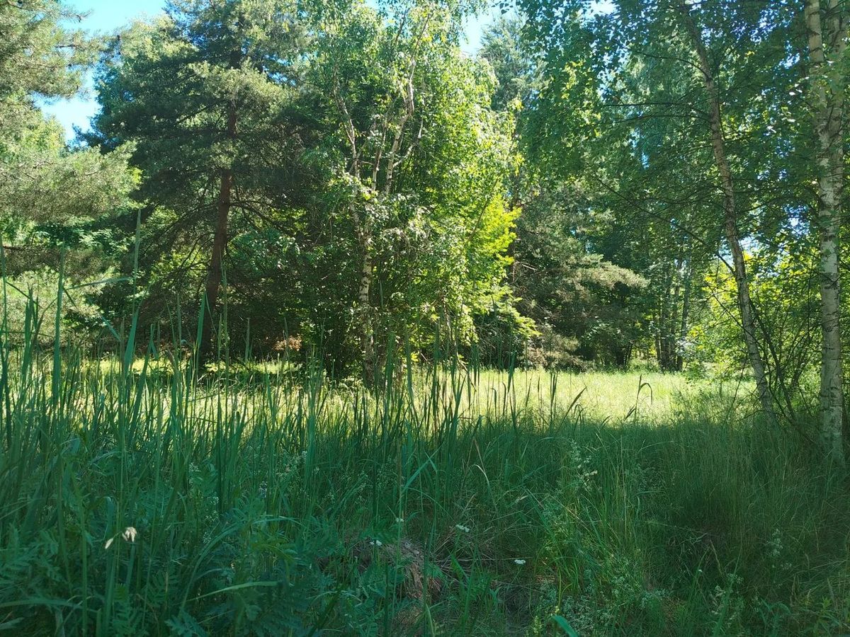 Аренда участка 15,04 сот. под ИЖС — обл. Нижегородская, лот 1
