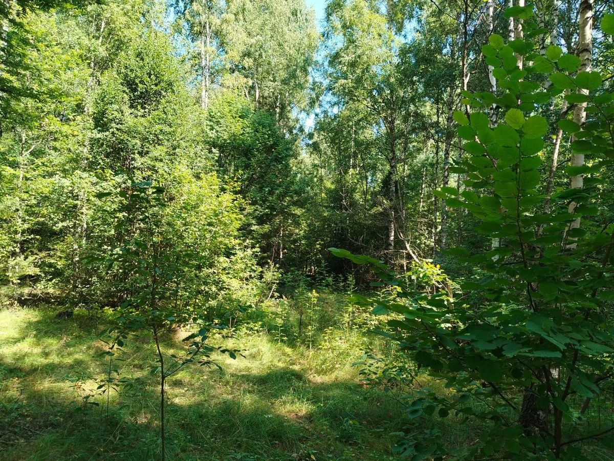 Аренда участка 10,22 сот. под ЛПХ — обл. Нижегородская