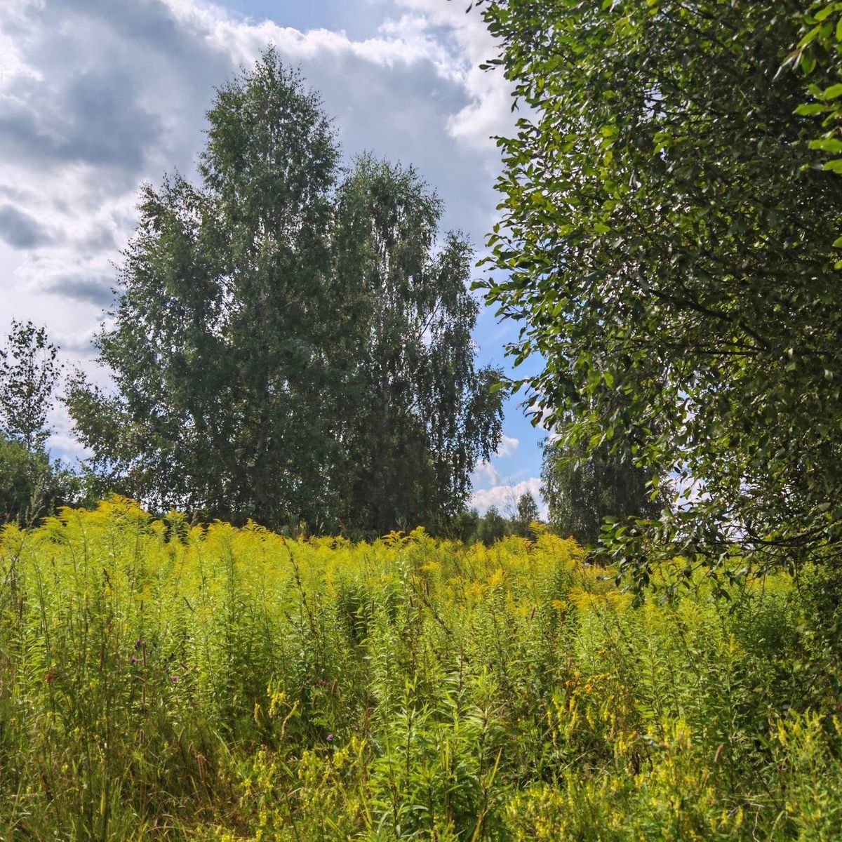 Аренда участка 10,06 сот. под ЛПХ — Нижегородская