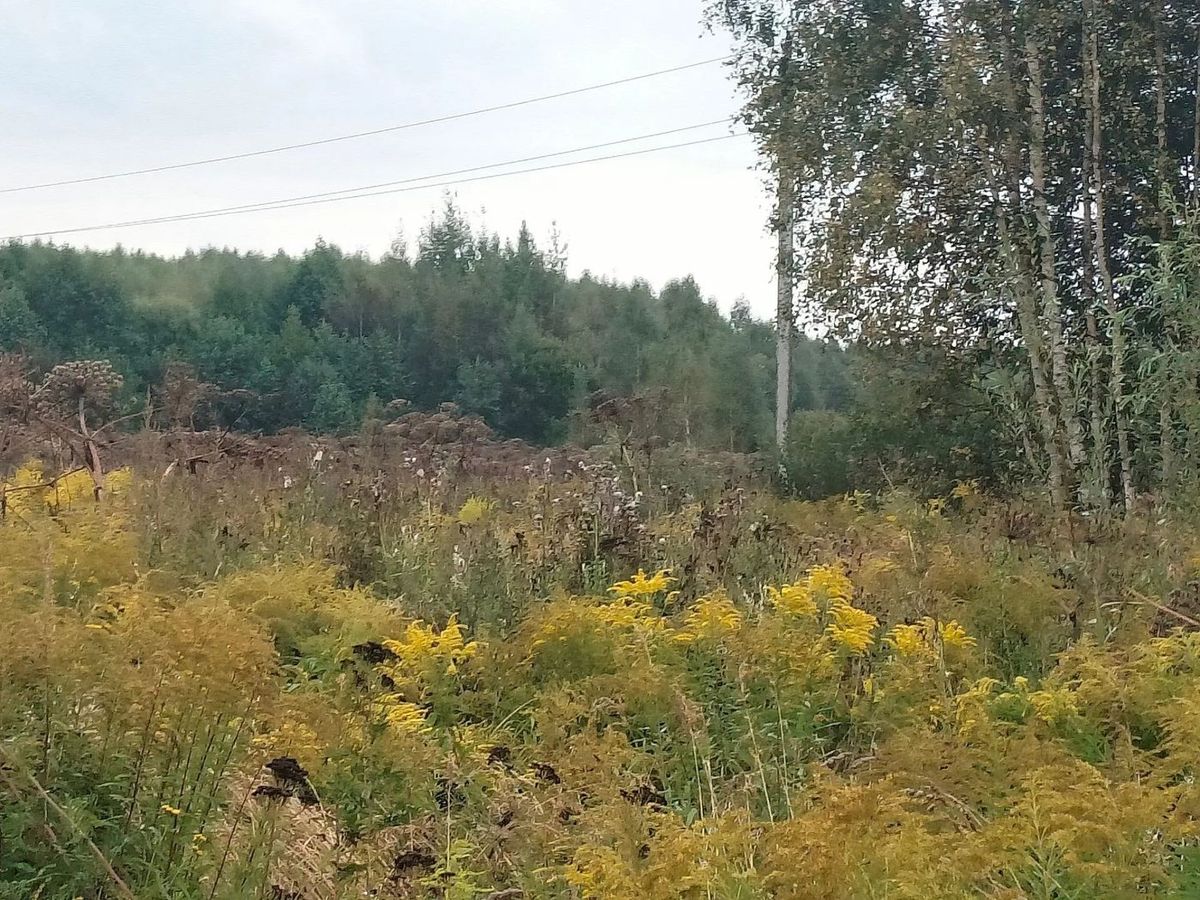Аренда участка 9,97 сот. под ЛПХ — обл. Нижегородская