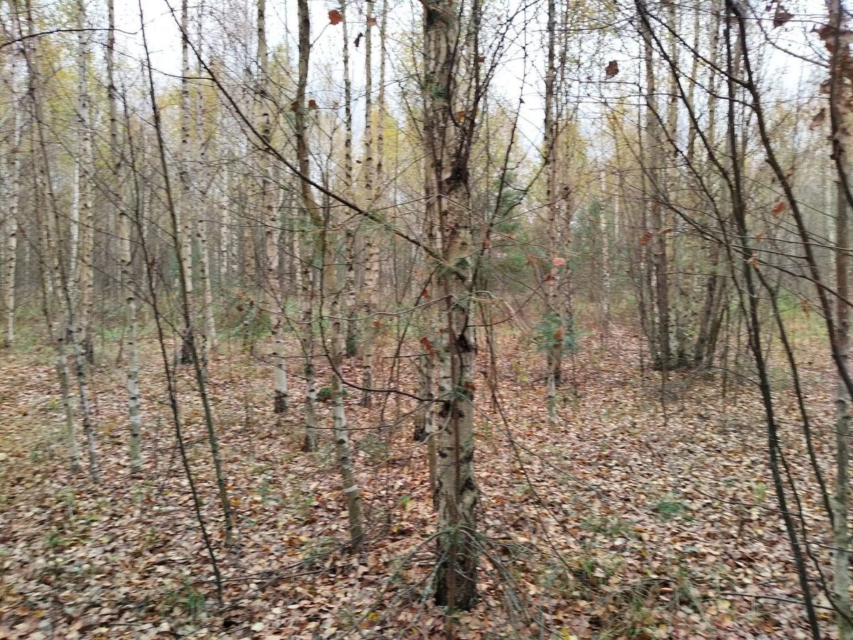 Аренда участка 14,99 сот. под ИЖС — обл. Нижегородская