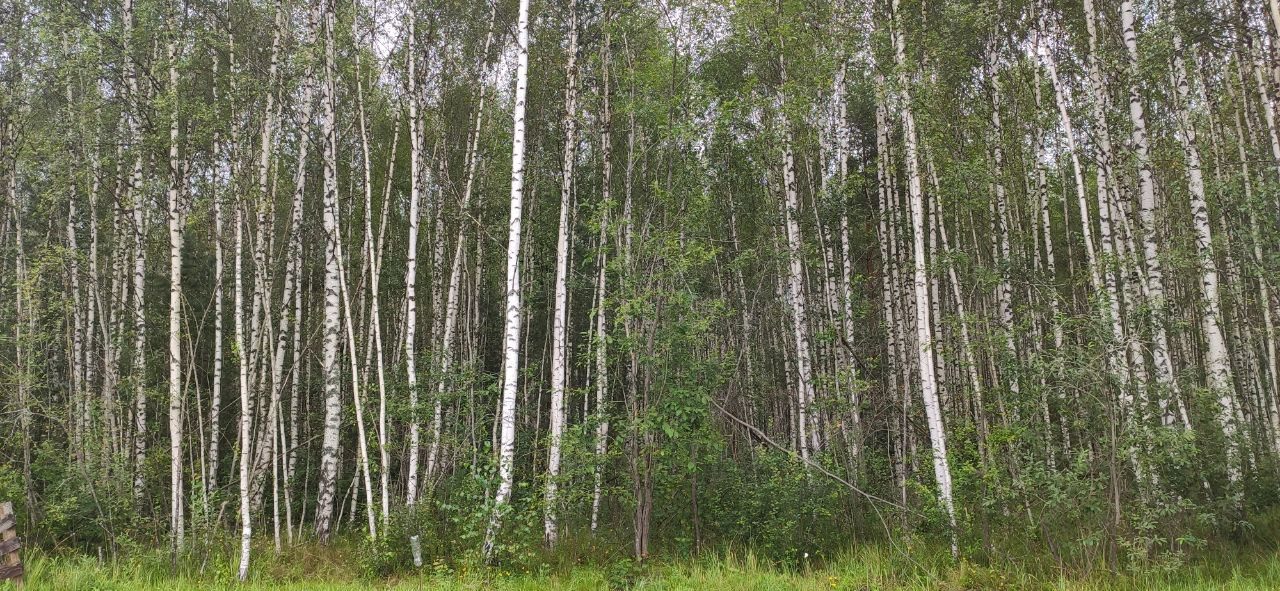 Продажа участка 17,2 сот. под садоводство — обл. Москов