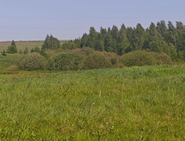 Продажа участка 10 сот. под ИЖС — Московская область (0050419:801)