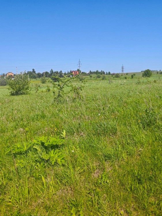 Продажа участка 10 сот. под ИЖС — Московская область (0050419:802)