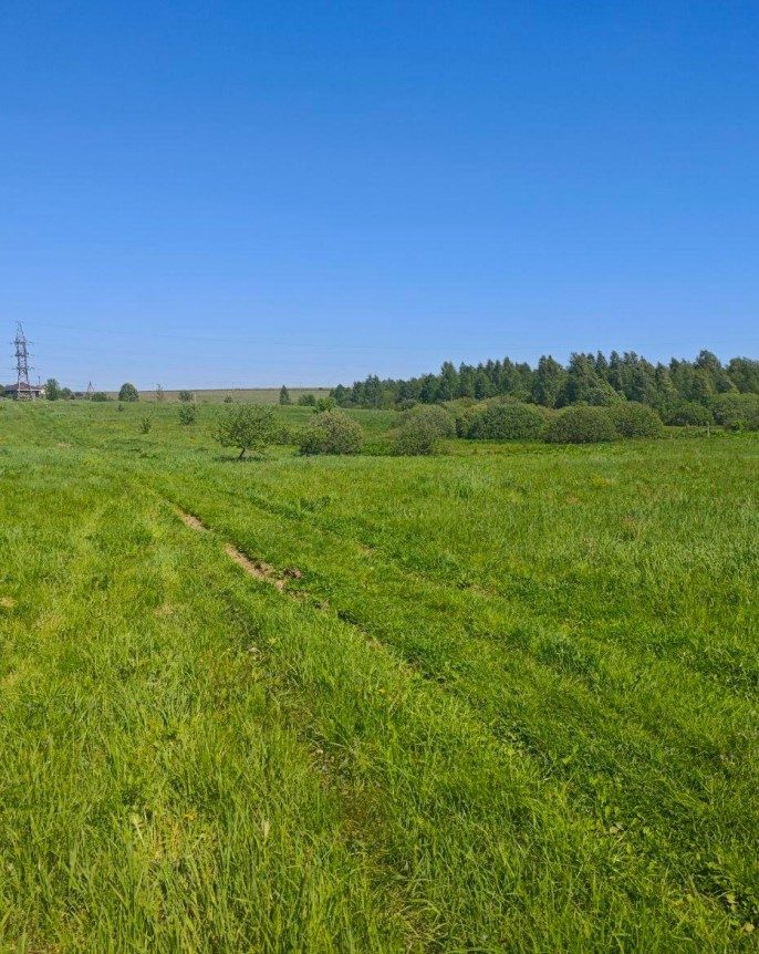 Продажа участка 10 сот. под ИЖС — Московская область (0050419:798)