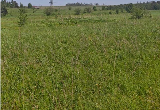 Продажа участка 10 сот. под ИЖС — Московская область (0050419:816)