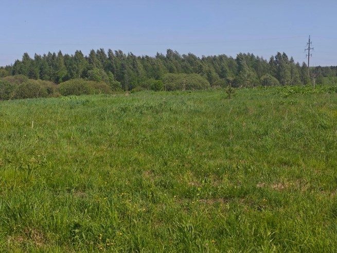 Продажа участка 10 сот. под ИЖС — Московская область (0050419:806)