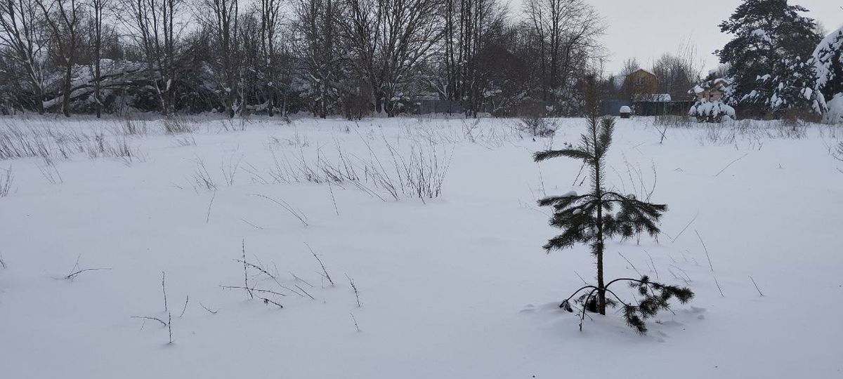 Аренда участка 15 сот. под ЛПХ — Московская область (0070308:567)