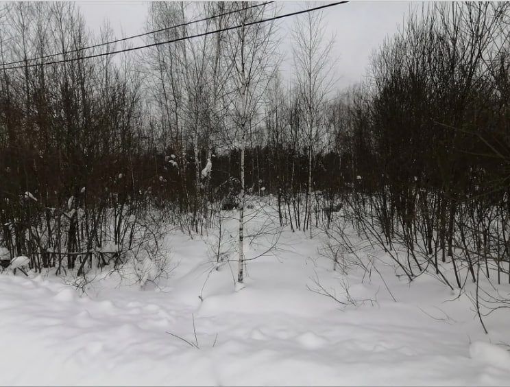 Аренда участка 23,83 сот. под ЛПХ — Московская область