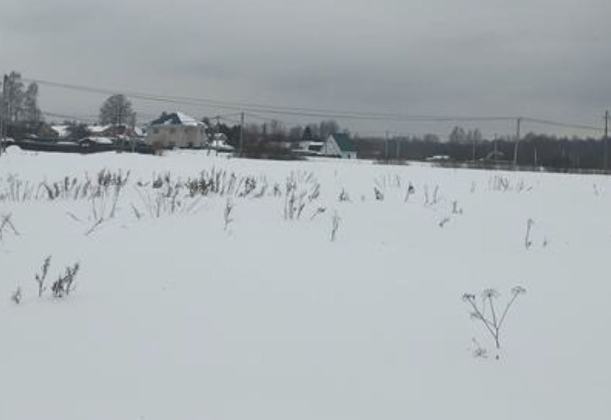Аренда участка 10 сот. под ИЖС — Московская область (0080310:798)