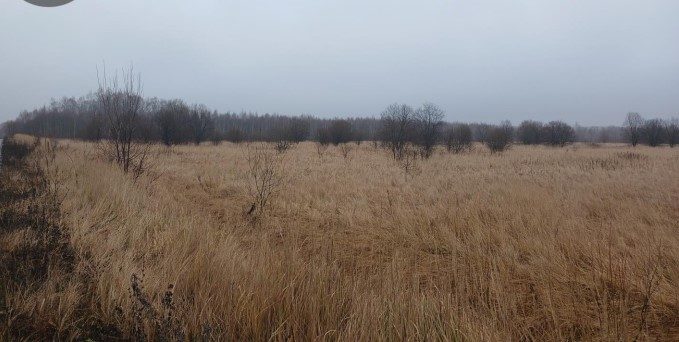 Продажа участка 2,43 га под сельхоз — обл Московская, г