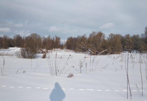 Аренда участка 8 сот. под ЛПХ — Московская область, лот 1