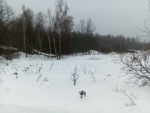 Продажа участка 19,43 сот. под ЛПХ — Московская область