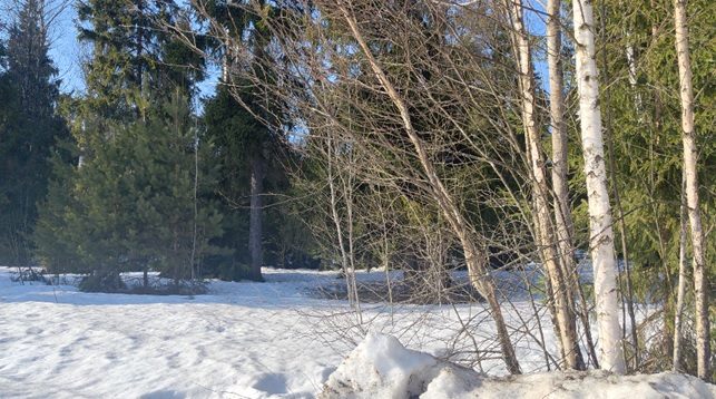 Аренда участка 20,06 сот. под садоводство — обл. Москов