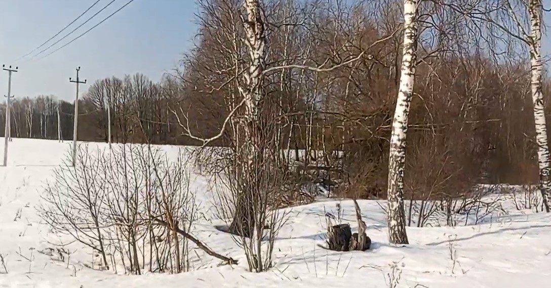 Аренда участка 14,99 сот. под ИЖС — Московская область, лот 1