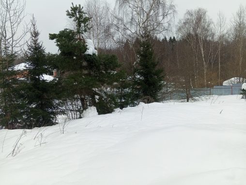 Аренда участка 9,01 сот. под ЛПХ — Московская область