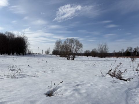 Продажа участка 19,75 сот. под ЛПХ — Московская область