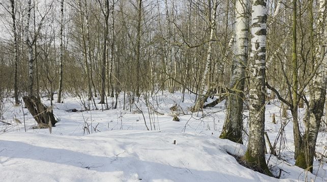 Продажа участка 18,17 сот. под ЛПХ — Московская область