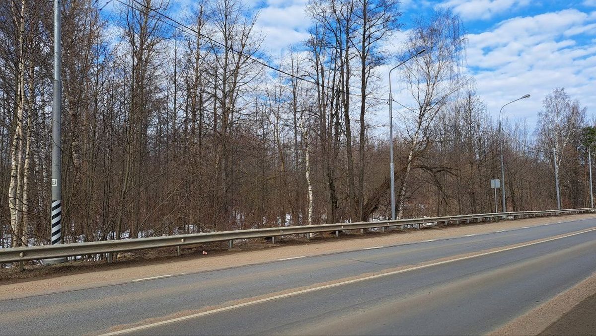 Аренда участка 39,19 сот. под магазин — обл. Московская