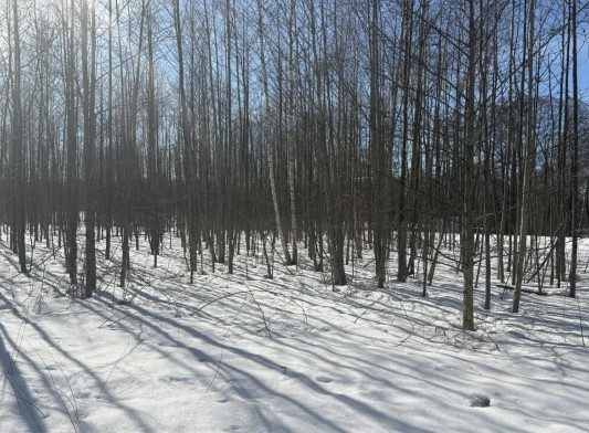 Продажа участка 10,9 сот. под ИЖС — Московская область