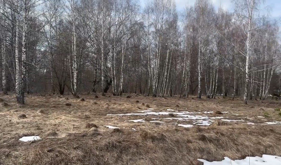Аренда участка 14,14 сот. под ЛПХ — Московская область