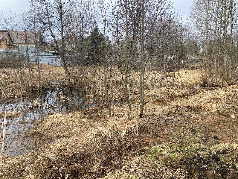 Аренда участка 11,3 сот. под ЛПХ — Московская область