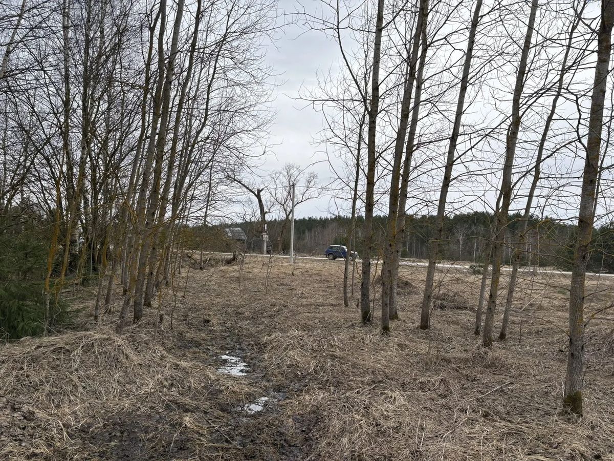 Аренда участка 30 сот. под ИЖС — Московская область (0040705:908)