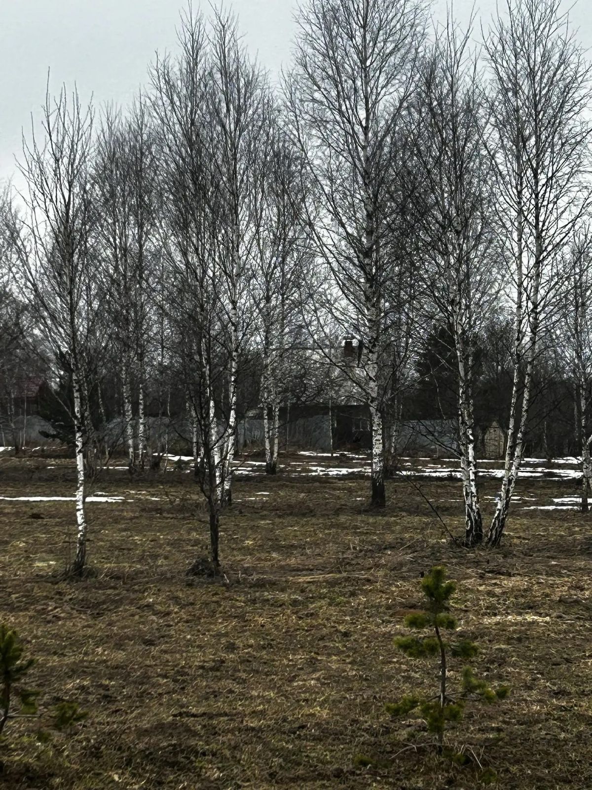 Продажа участка 10,03 сот. под ЛПХ — Московская область