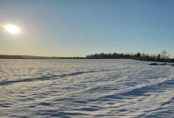 Продажа участка 11 сот. под ЛПХ — Московская область
