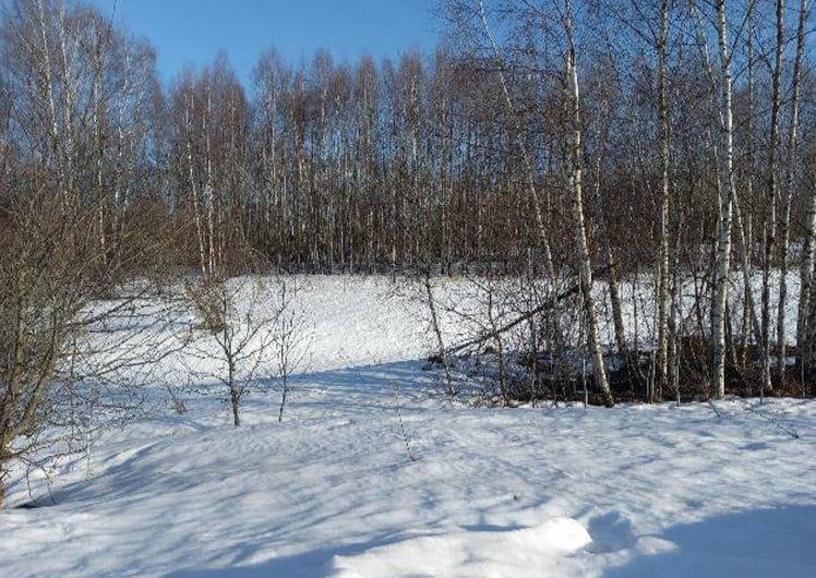 Продажа участка 10,93 сот. под ИЖС — Московская область