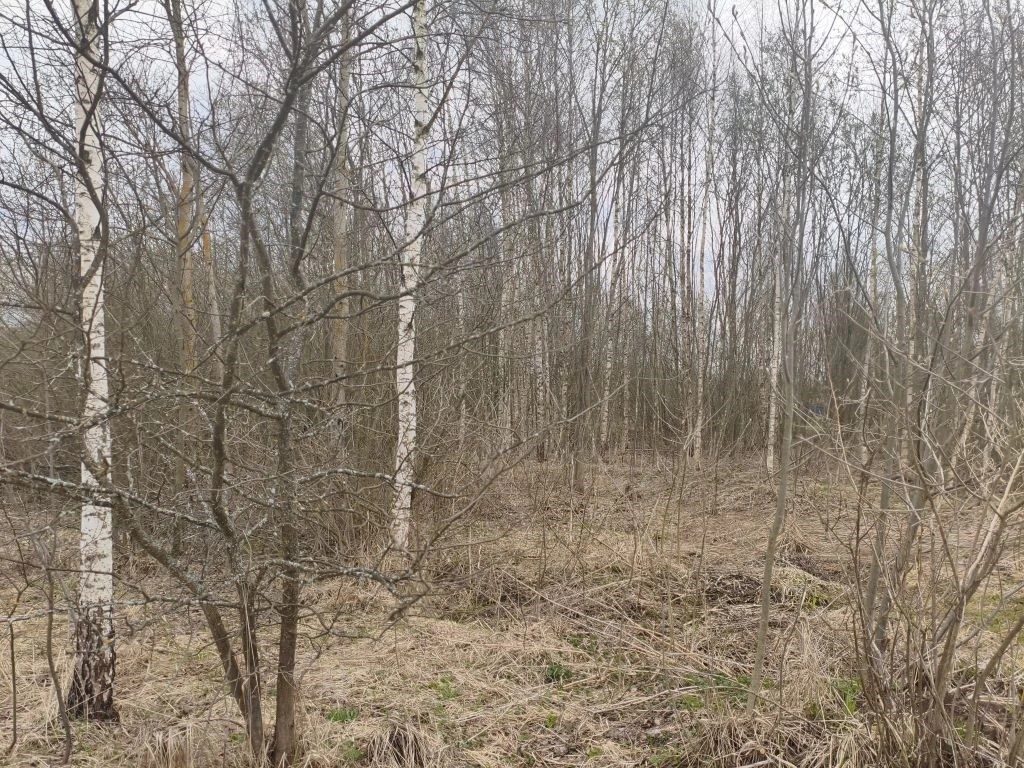 Продажа участка 9,5 сот. под ЛПХ — Московская область