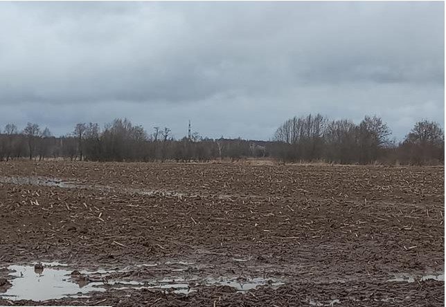 Продажа участка 15 сот. под садоводство — обл. Московск (0260105:659)
