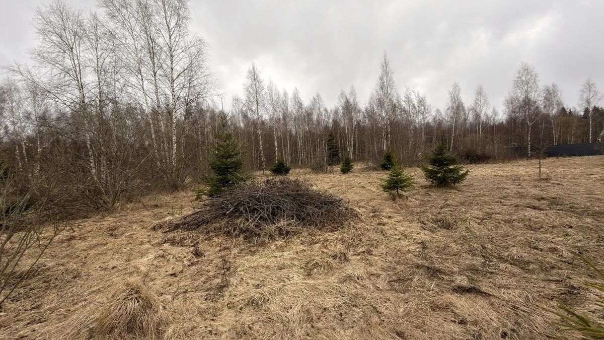Аренда участка 27,33 сот. под ЛПХ — Московская область