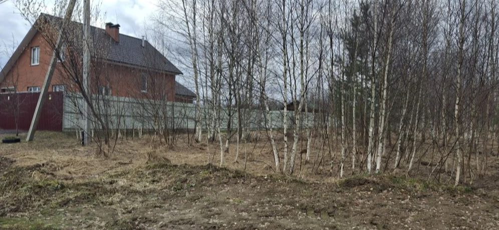 Аренда участка 15 сот. под ИЖС — Московская область (0050118:527)