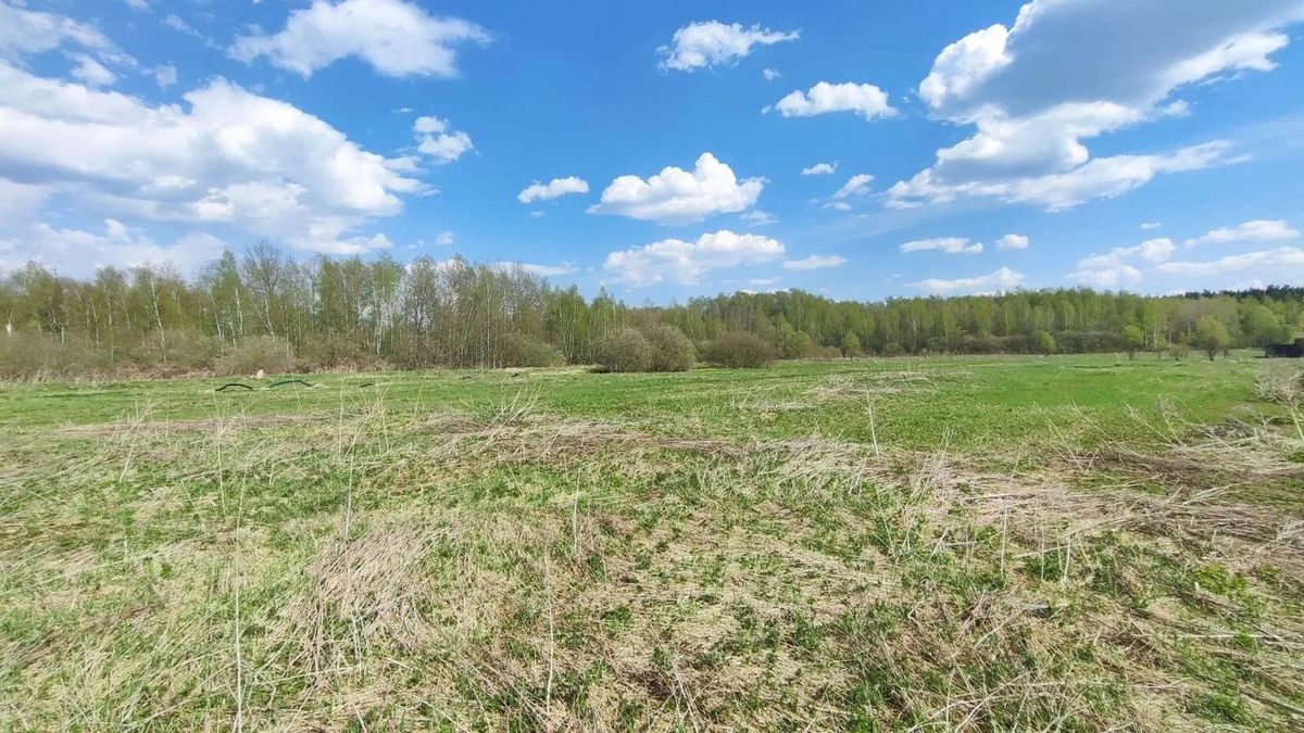 Продажа участка 9,65 сот. под ЛПХ — Московская область