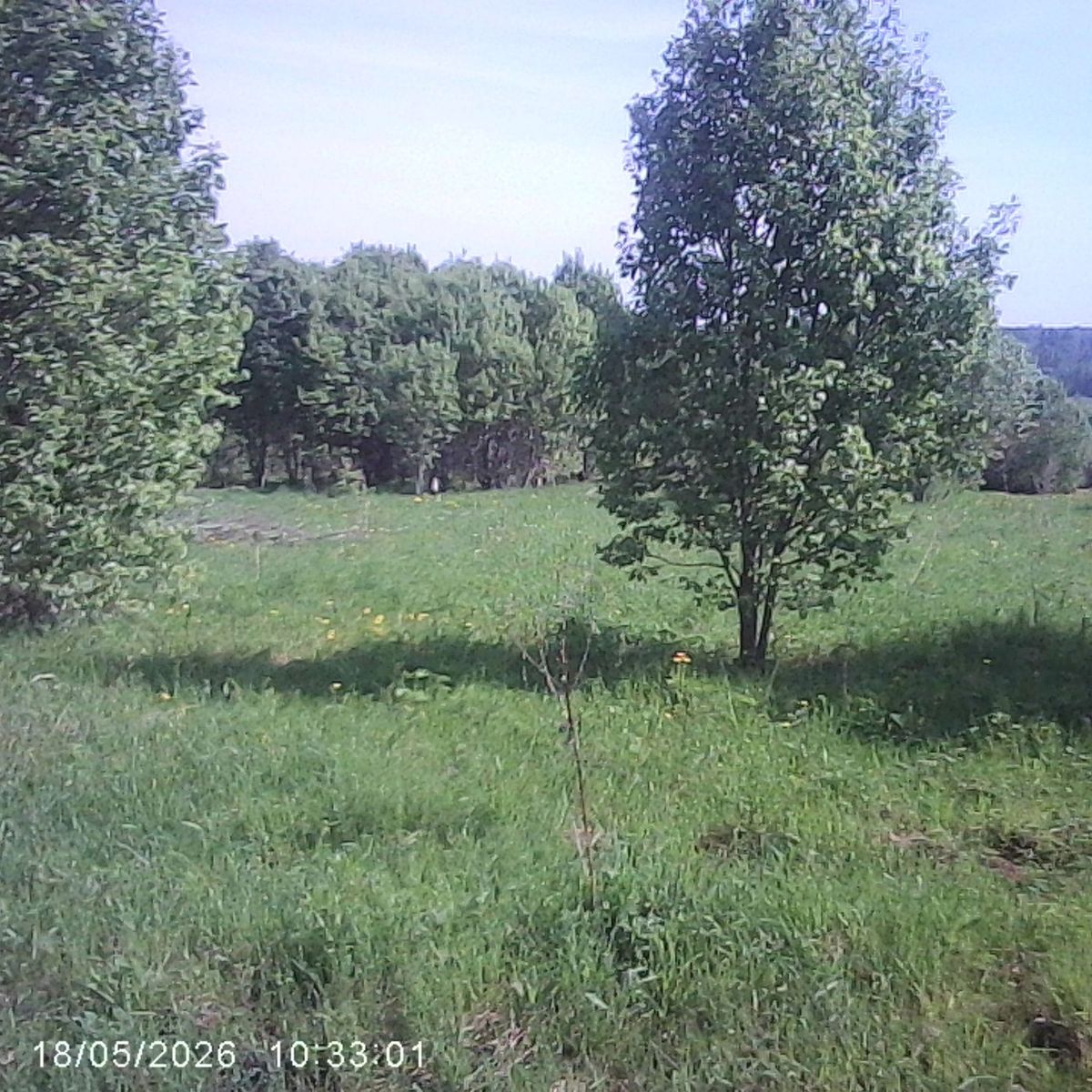 Продажа участка 18 сот. под ЛПХ — Московская область