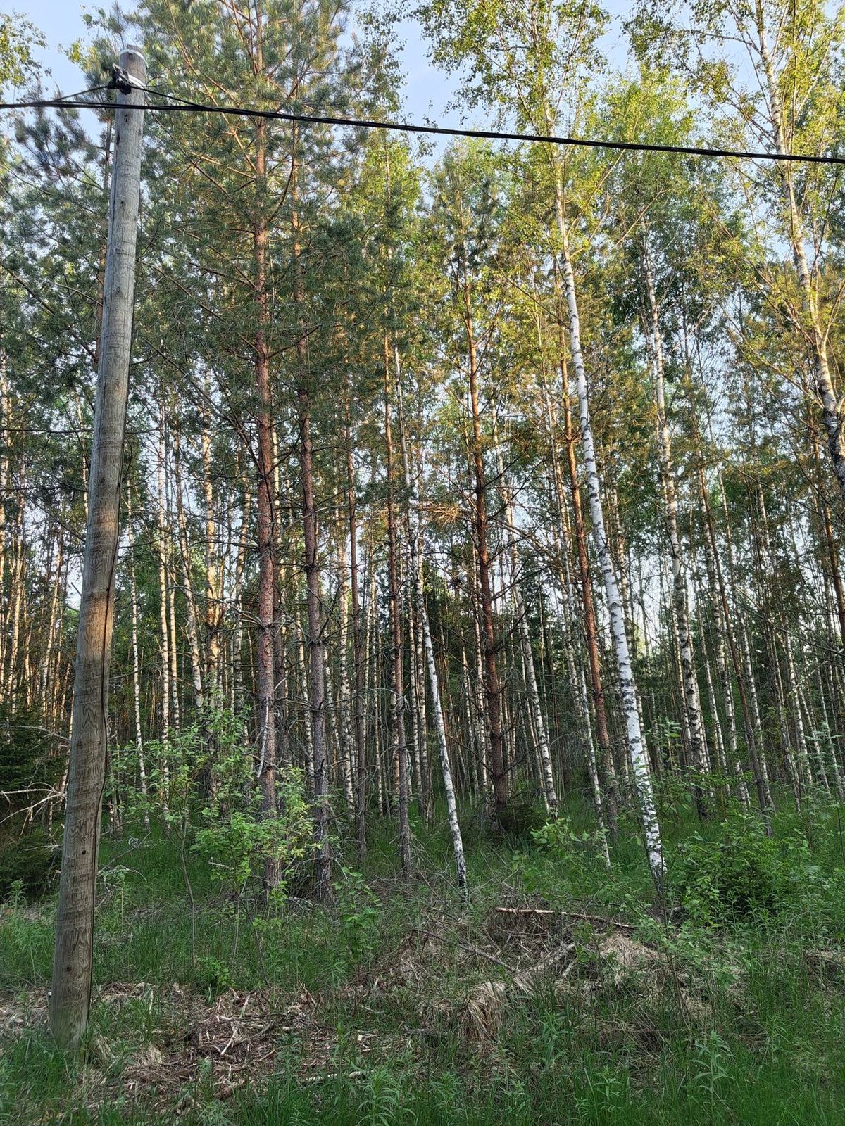 Аренда участка 15,16 сот. под ИЖС — Московская область, лот 1