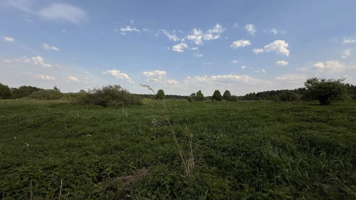 Продажа участка 14,99 сот. под ИЖС — Московская область