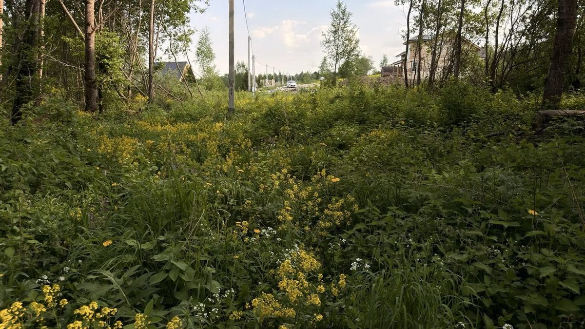 Продажа участка 13,29 сот. под ЛПХ — Московская область