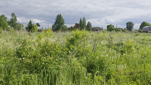 Продажа участка 23,42 сот. под ЛПХ — Московская область