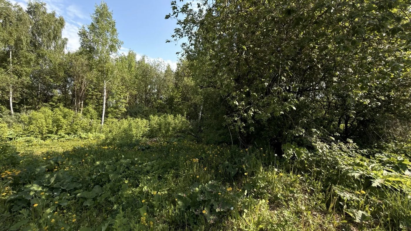 Продажа участка 10 сот. под ИЖС — Московская область (0090234:467)