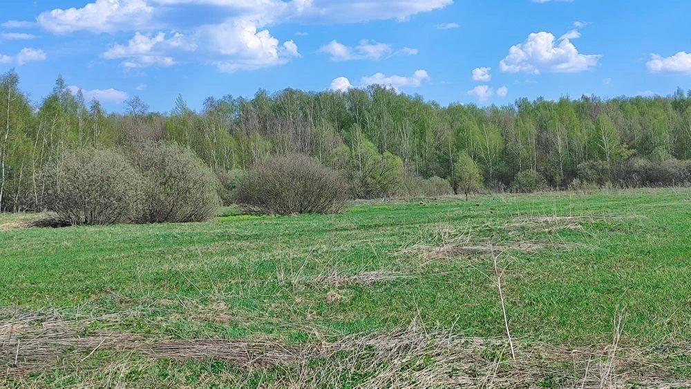 Продажа участка 9,51 сот. под ЛПХ — Московская область