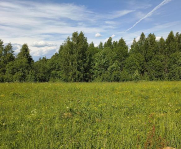 Продажа участка 22,14 сот. под ИЖС — Московская область