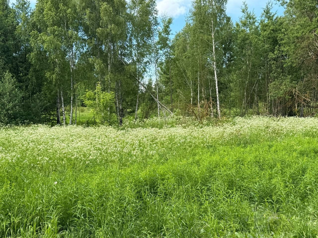 Аренда участка 21,3 сот. под ИЖС — Московская область