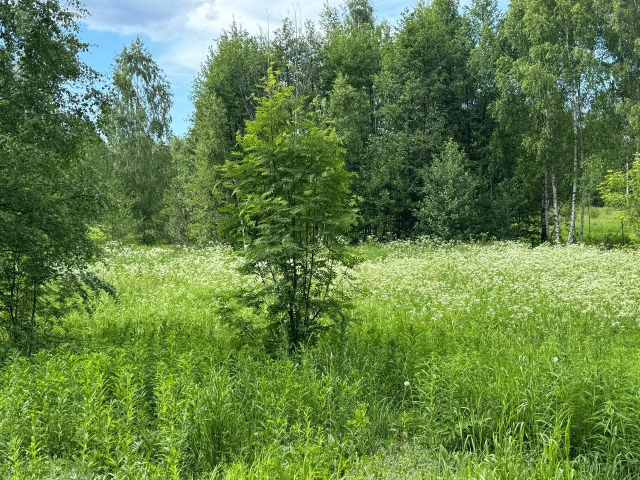 Аренда участка 15,34 сот. под ИЖС — Московская область