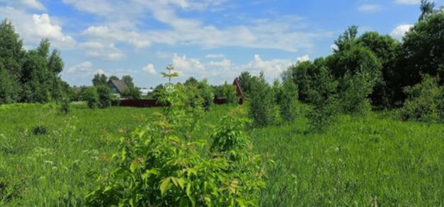 Продажа участка 10 сот. под ИЖС — Московская область, лот 1