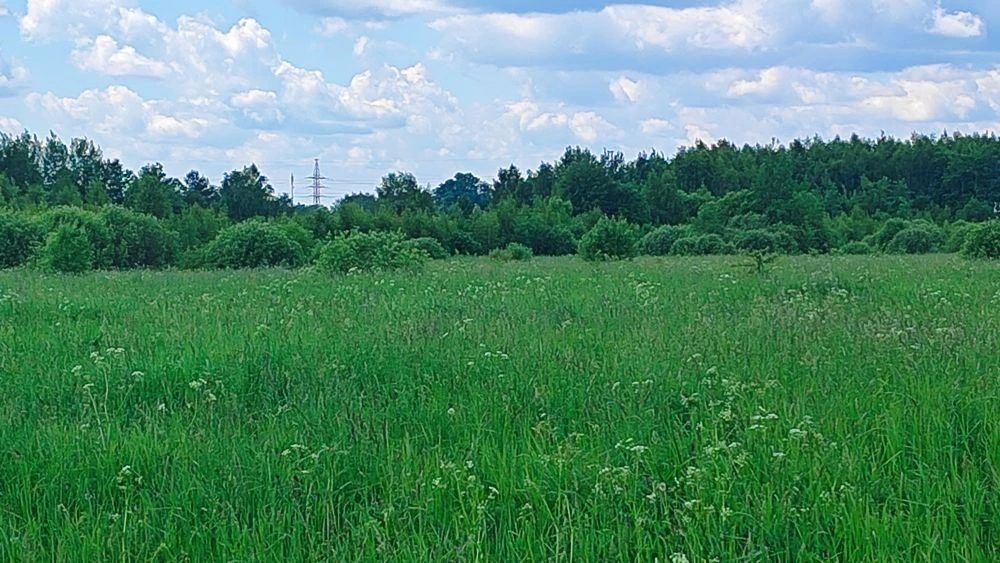 Продажа участка 30 сот. под ЛПХ — Московская область, лот 1